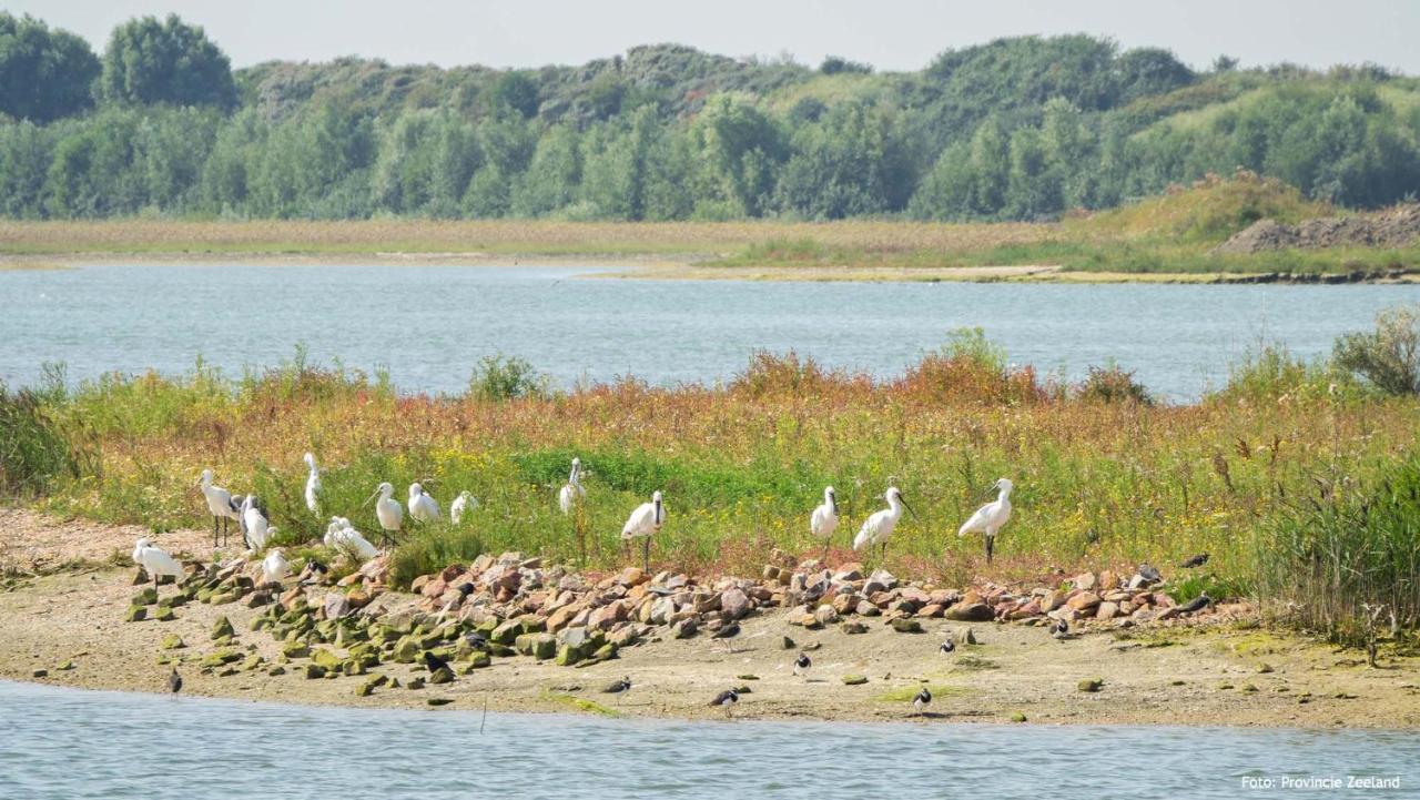 Molecaten Park Waterdunen Breskens Exterior foto